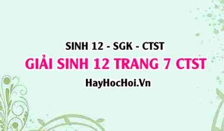 Giải Sinh 12 trang 7 Chân trời sáng tạo SGK